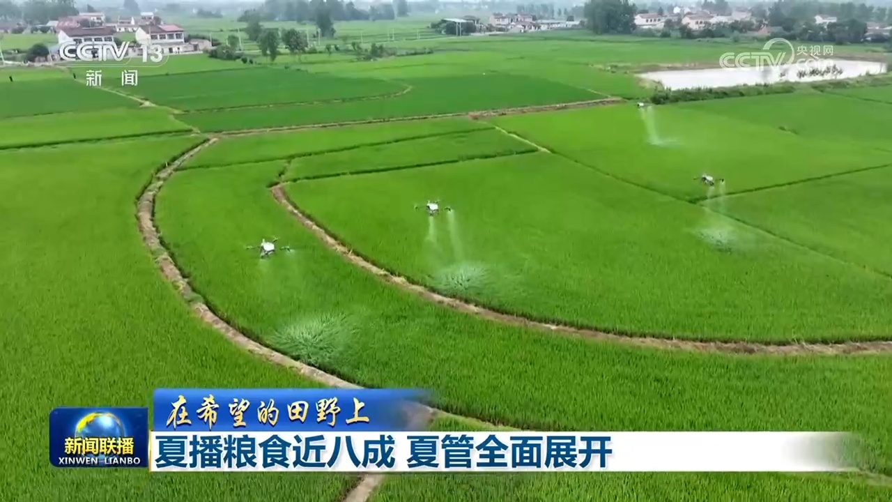 【在希望的田野上】夏播粮食近八成 夏管全面展开