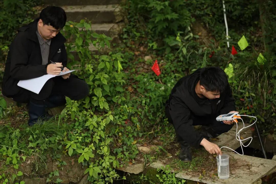 比大熊猫还罕见！宁波再现崇安草蜥身影