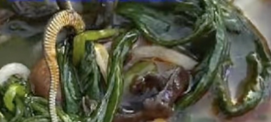 广西一女子在螺蛳粉中吃出菜花蛇，摊主仅退10元，事后公开道歉：愿承担医药费