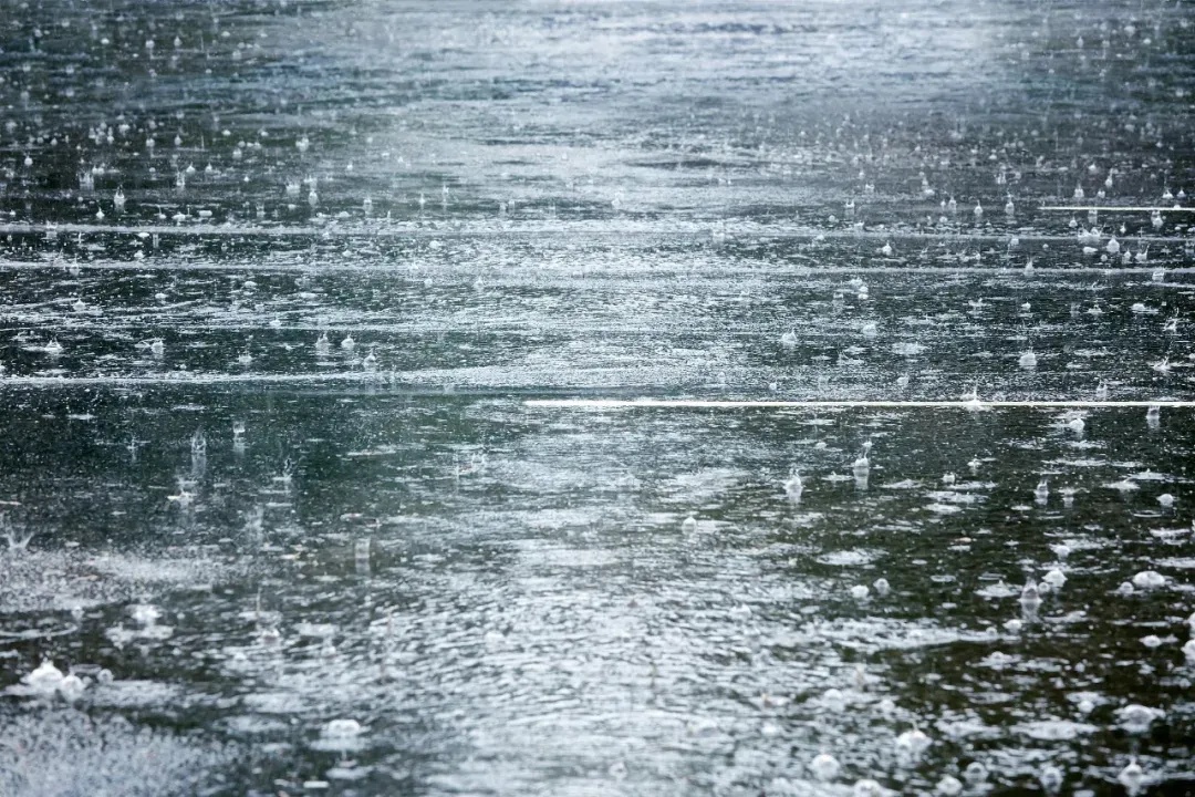 沈阳发布暴雨红色预警!预计降水量将达…… 沈阳发布暴雨红色预警!预计降水量将达……