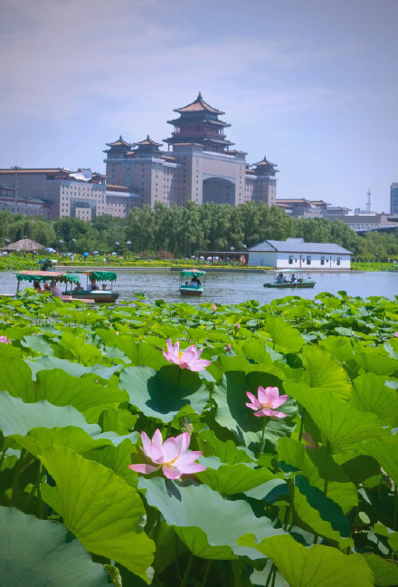11年未遇!北京今夏6月无高温日 11年未遇!北京今夏6月无高温日