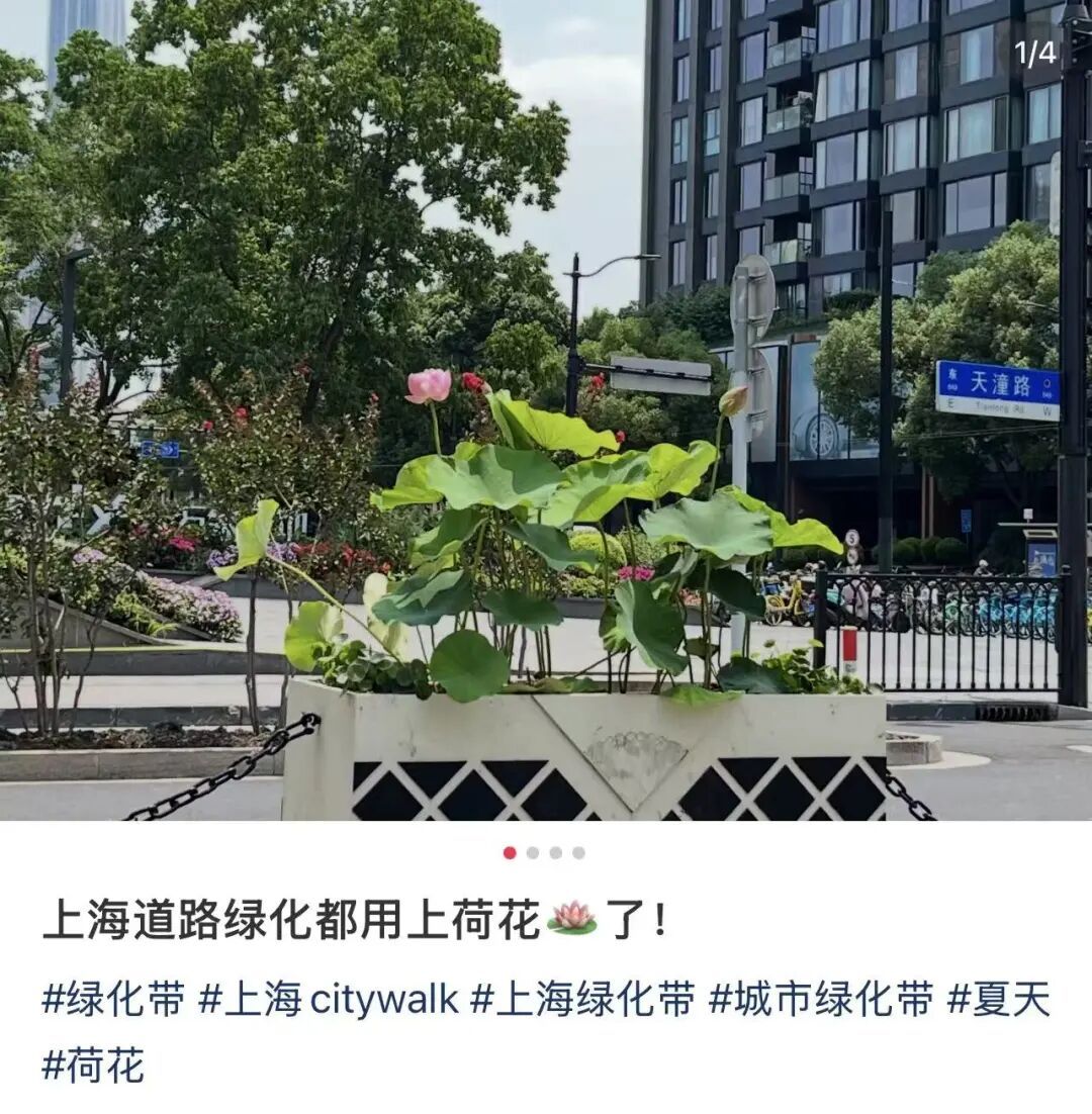 "上海还是太超前!"市中心马路中央摆上了!冲上热搜️ "上海还是太超前!"市中心马路中央摆上了!冲上热搜️