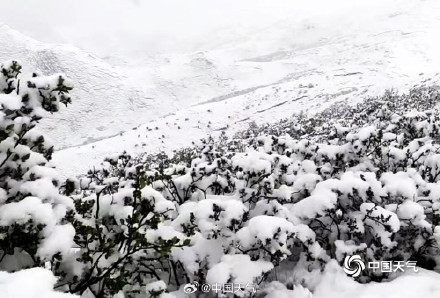 7月青海一些地方还在下雪 7月青海一些地方还在下雪