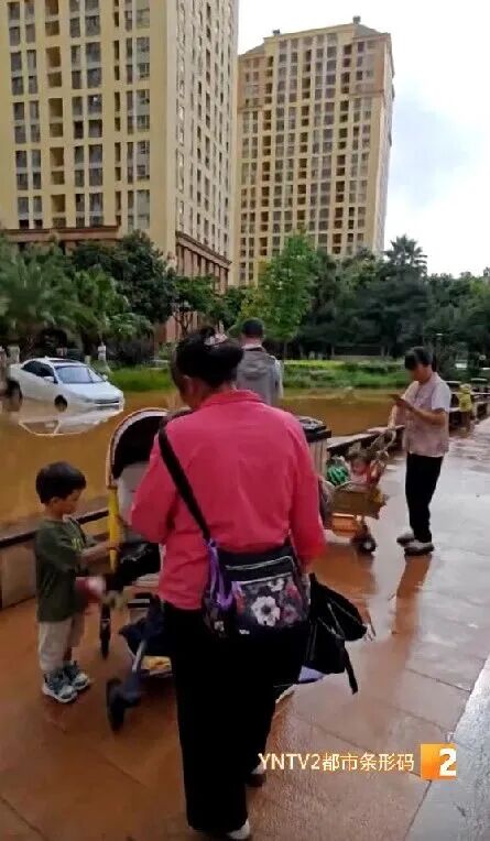昆明一小区新业主搬家，把车开进了池塘