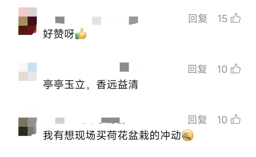 "上海还是太超前!"市中心马路中央摆上了!冲上热搜️ "上海还是太超前!"市中心马路中央摆上了!冲上热搜️