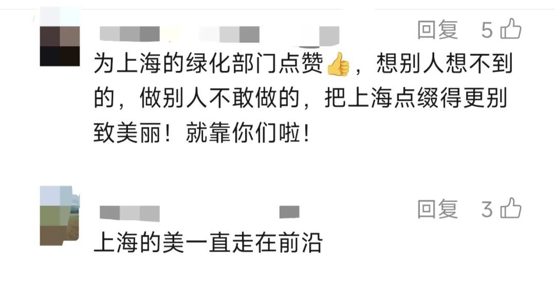 "上海还是太超前!"市中心马路中央摆上了!冲上热搜️ "上海还是太超前!"市中心马路中央摆上了!冲上热搜️