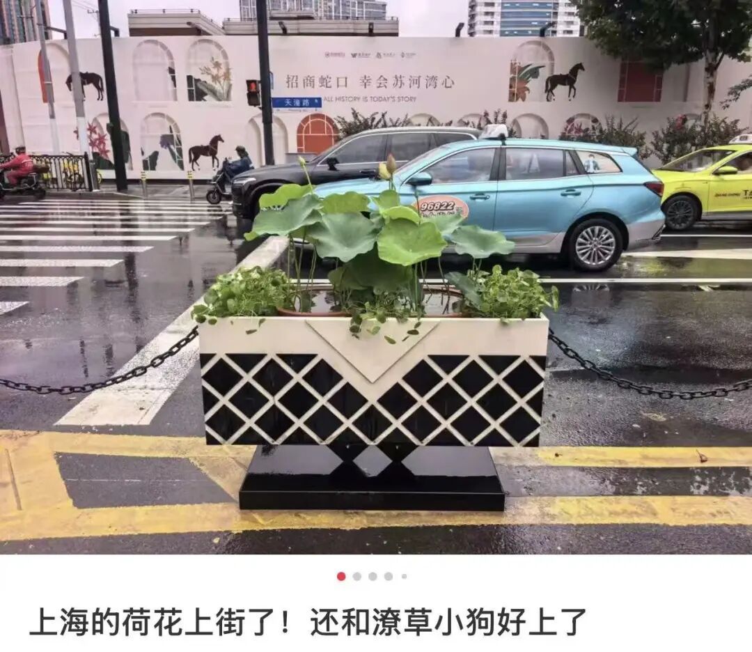 "上海还是太超前!"市中心马路中央摆上了!冲上热搜️ "上海还是太超前!"市中心马路中央摆上了!冲上热搜️