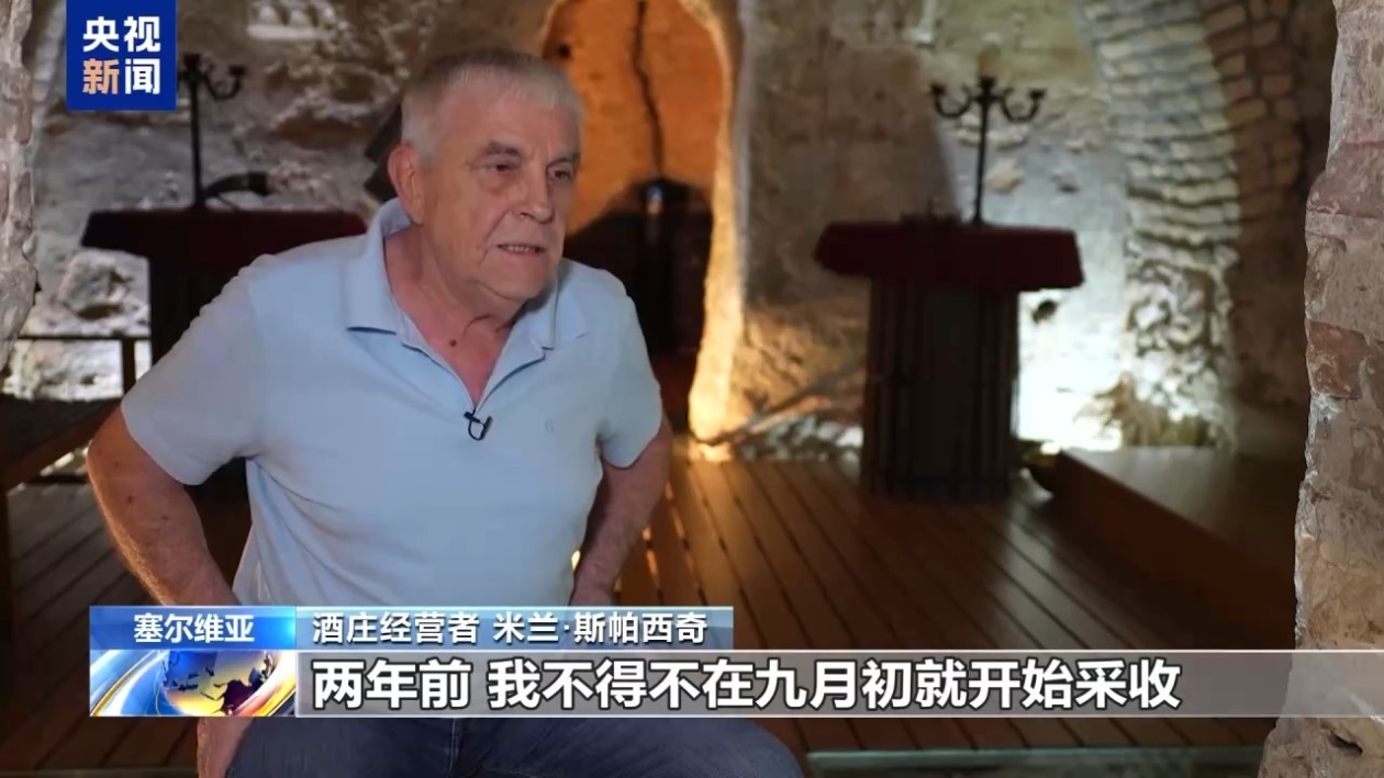 记者观察丨热浪持续 塞尔维亚葡萄园面临挑战 记者观察丨热浪持续 塞尔维亚葡萄园面临挑战