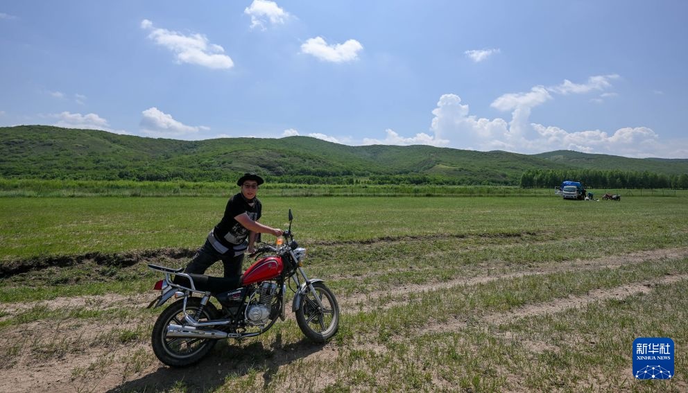 走向夏牧场 走向夏牧场