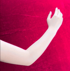 湿热体质易招蚊子？赶快按揉这两个穴位