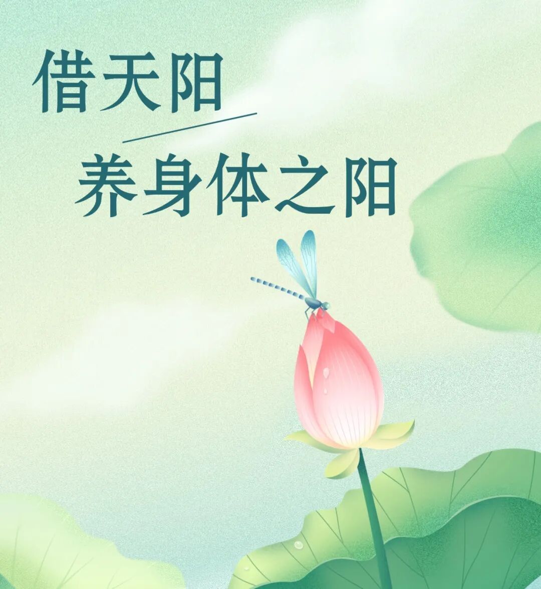 夏至养生核心是什么？借天阳养身体之阳！