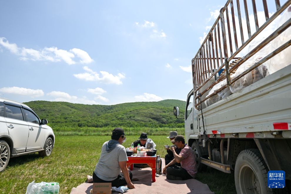 走向夏牧场 走向夏牧场