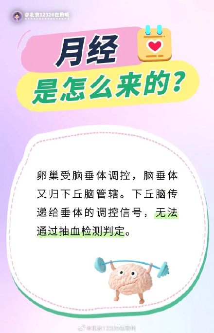 月经是怎么来的？