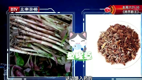 长期炎症会唤醒“癌细胞”,苹果加上它,秒变“天然消炎剂”,快喝起来 长期炎症会唤醒“癌细胞”,苹果加上它,秒变“天然消炎剂”,快喝起来