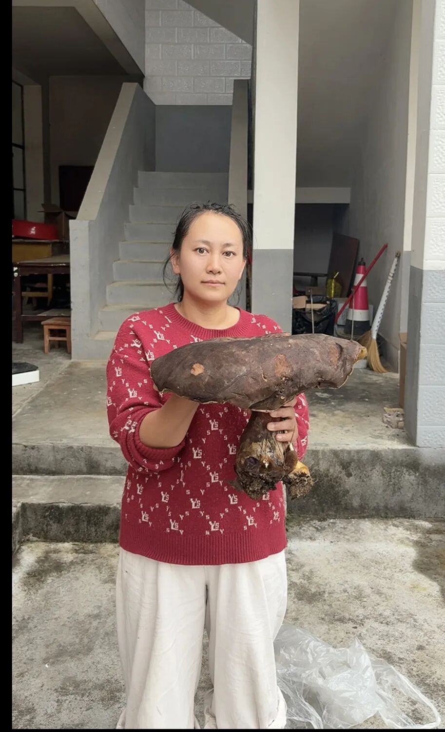 菌盖大过小脸盆!云南一村民捡到“菌中巨物” 网友:一锅炖不下 菌盖大过小脸盆!云南一村民捡到“菌中巨物” 网友:一锅炖不下