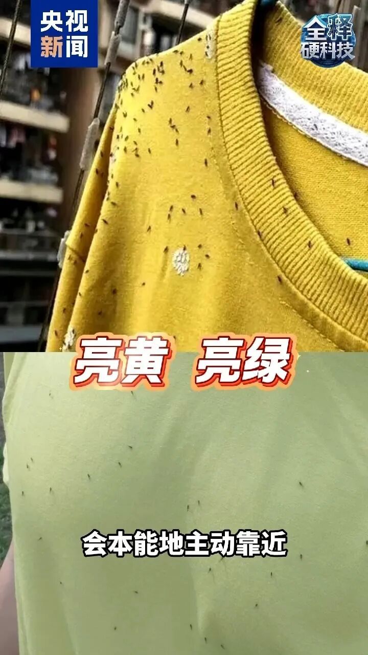 颜色不同,温差超20摄氏度!今天起,穿衣的颜色调整一下—— 颜色不同,温差超20摄氏度!今天起,穿衣的颜色调整一下——