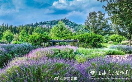 上海将迎首座国家植物园,国务院批复同意设立上海辰山国家植物园 上海将迎首座国家植物园,国务院批复同意设立上海辰山国家植物园