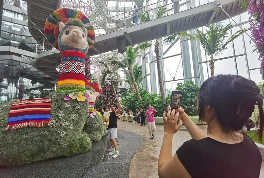 这边“潦草小狗”刚换夏装，那边“凤梨羊驼”母子首次露面，魔都顶流再添一员→