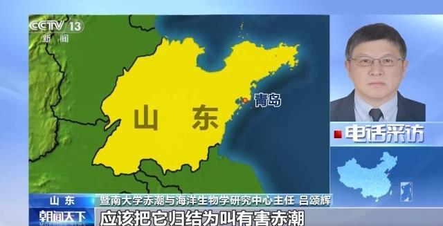 海南多地暴发赤潮有何影响？何时消散？专家解答