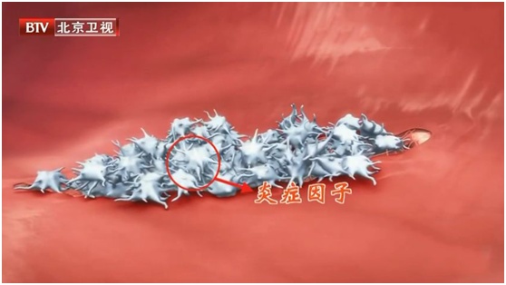 长期炎症会唤醒“癌细胞”,苹果加上它,秒变“天然消炎剂”,快喝起来 长期炎症会唤醒“癌细胞”,苹果加上它,秒变“天然消炎剂”,快喝起来