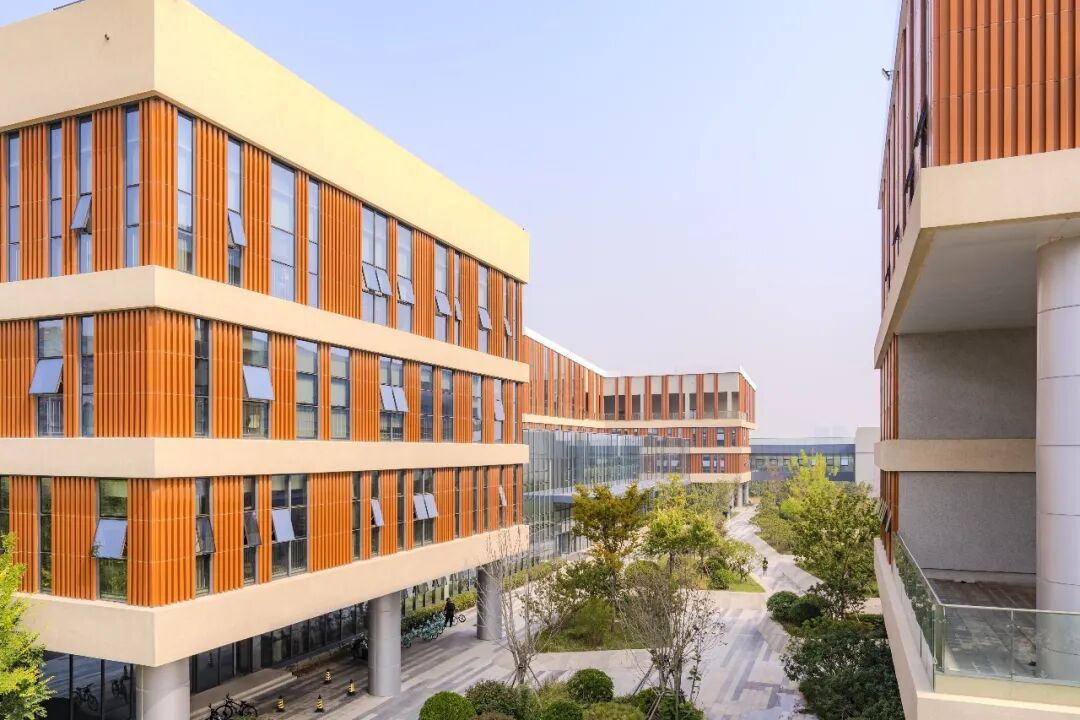 你好,康复大学! 你好,康复大学!