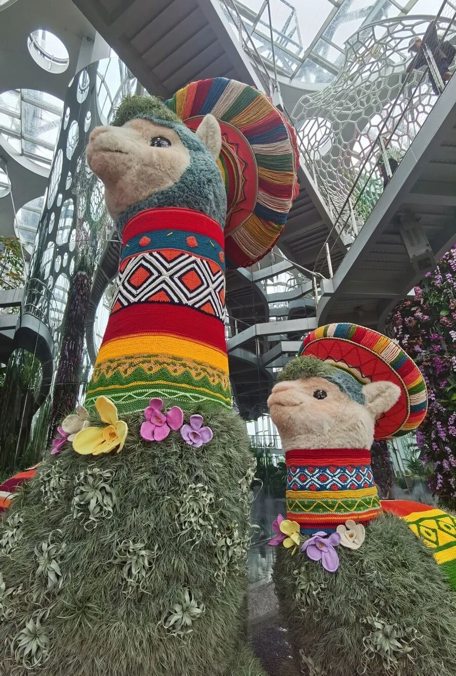 这边“潦草小狗”刚换夏装，那边“凤梨羊驼”母子首次露面，魔都顶流再添一员→
