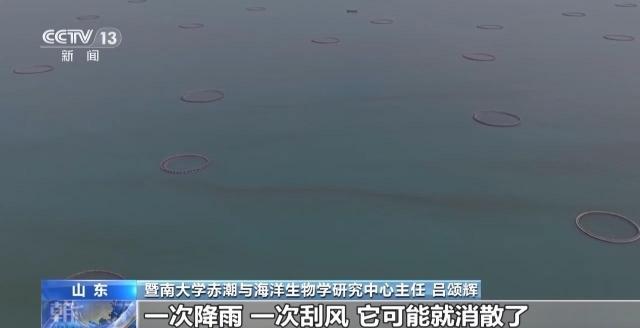 海南多地暴发赤潮有何影响？何时消散？专家解答