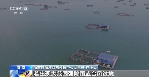 海南多地暴发赤潮有何影响？何时消散？专家解答