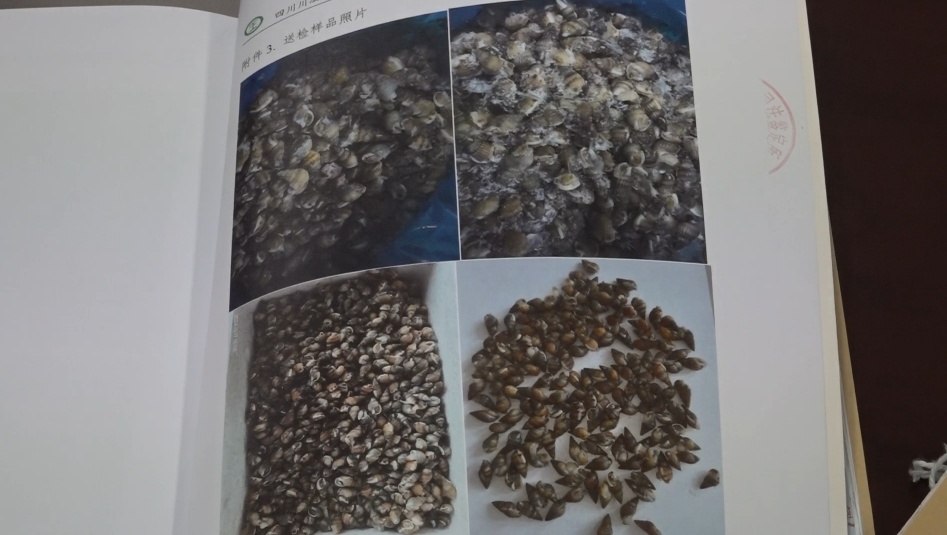 北京一商贩获刑八个月！提醒：这个别买、别吃织纹螺