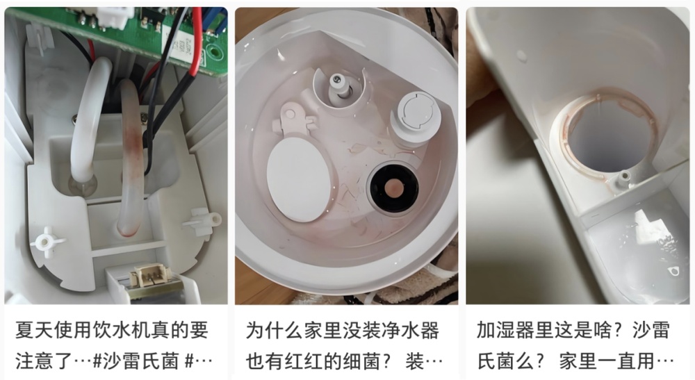 以为是水垢,实则是细菌!孩子水杯里超常见,速查 以为是水垢,实则是细菌!孩子水杯里超常见,速查