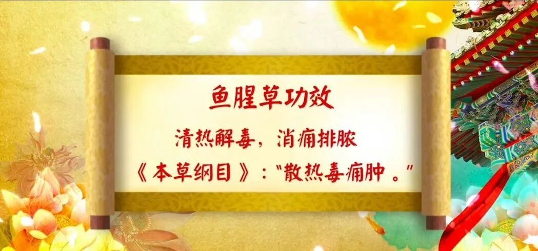 长期炎症会唤醒“癌细胞”,苹果加上它,秒变“天然消炎剂”,快喝起来 长期炎症会唤醒“癌细胞”,苹果加上它,秒变“天然消炎剂”,快喝起来