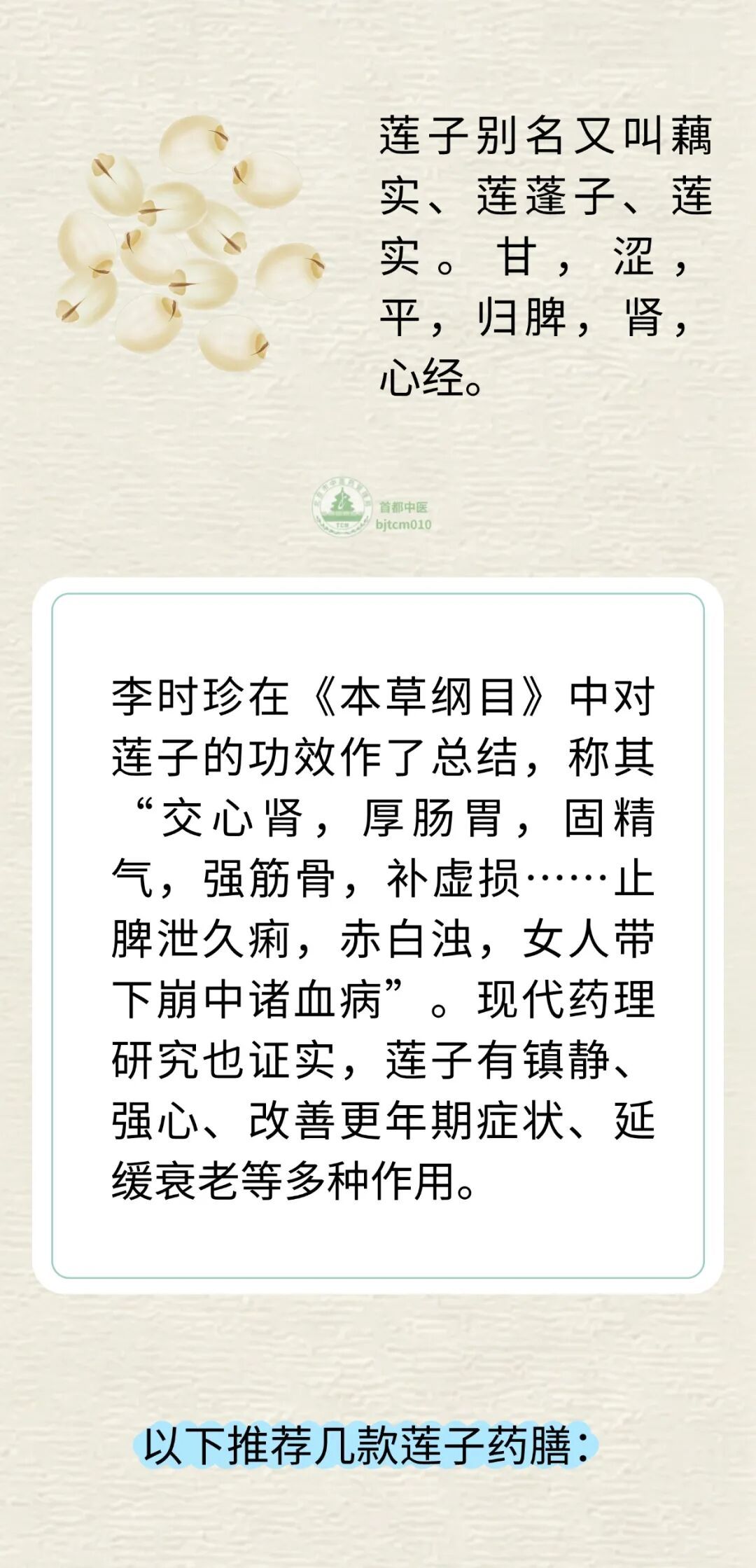 夏日莲子是个宝!养心安神、健脾补肾,安稳过伏天 夏日莲子是个宝!养心安神、健脾补肾,安稳过伏天
