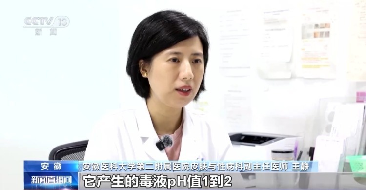 隐翅虫进入活跃期 医生提示:切勿拍打 隐翅虫进入活跃期 医生提示:切勿拍打