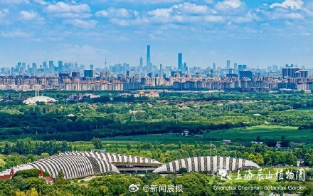 上海将迎首座国家植物园,国务院批复同意设立上海辰山国家植物园 上海将迎首座国家植物园,国务院批复同意设立上海辰山国家植物园