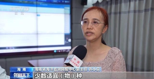 海南多地暴发赤潮有何影响？何时消散？专家解答
