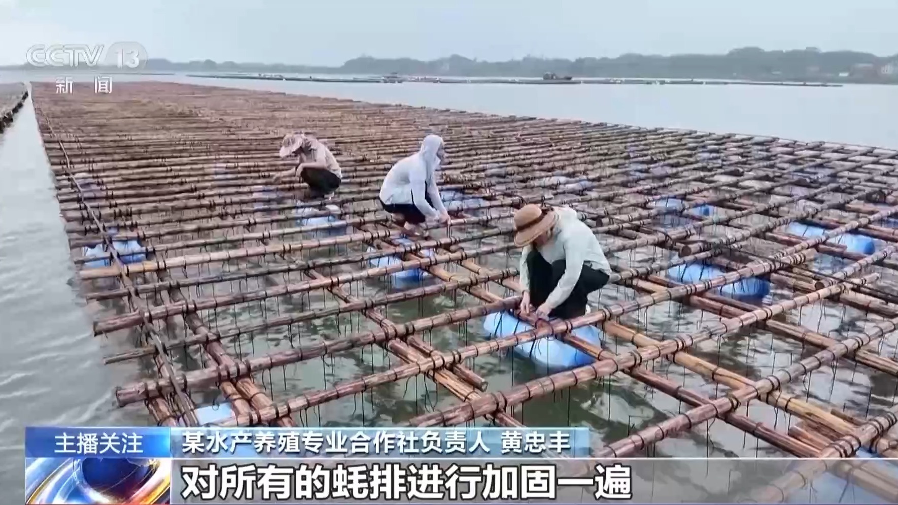 渔船回港、保障“菜篮子”供应 各地多举措防御台风 渔船回港、保障“菜篮子”供应 各地多举措防御台风