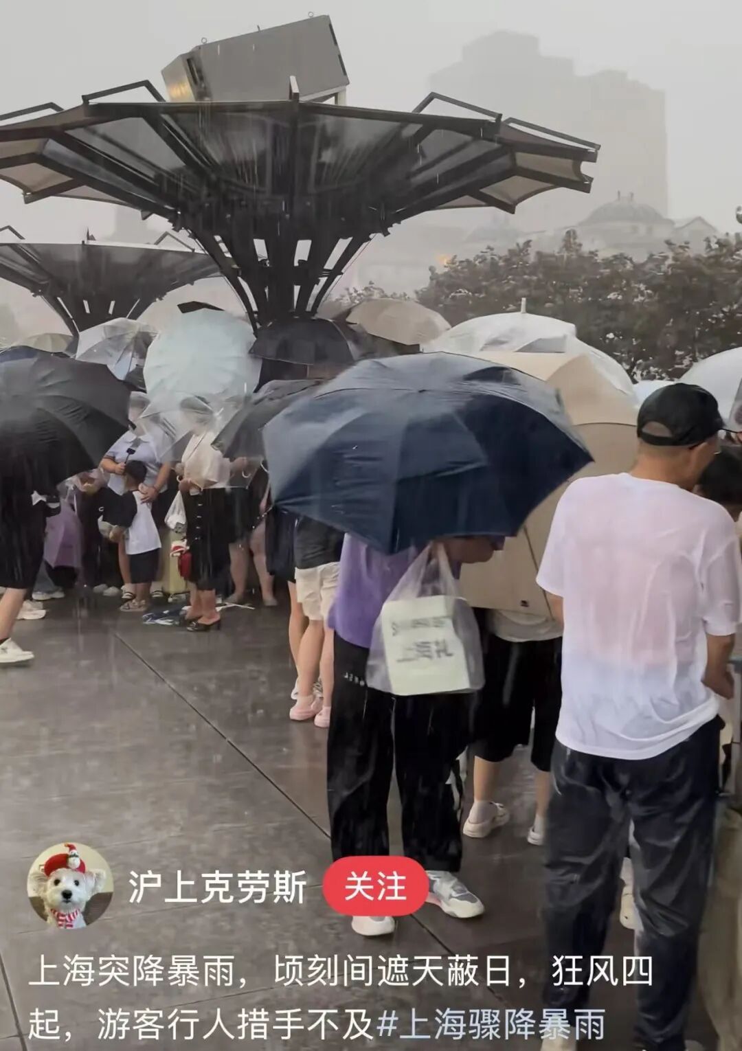 上海：边升温边洒水，烦人的“局地”又要来了，为什么暴雨总是下在“局部”？
