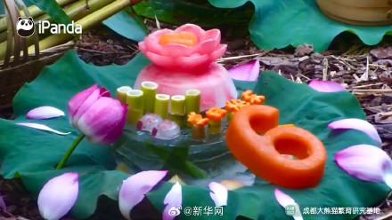 一起看看花花6岁生日大餐有什么 一起看看花花6岁生日大餐有什么