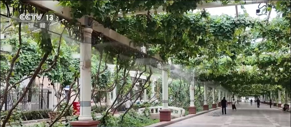 北方多地经历今年以来最大范围高温天气 新疆甘肃酷热同期罕见 北方多地经历今年以来最大范围高温天气 新疆甘肃酷热同期罕见