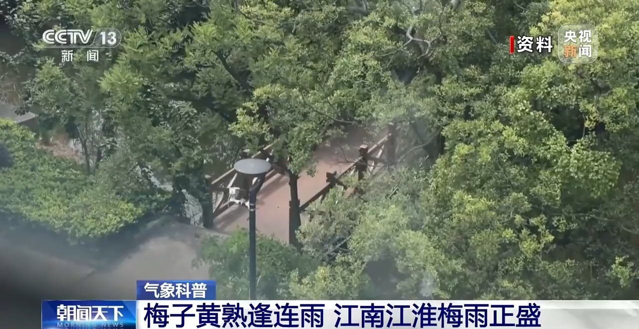 什么是梅雨?梅雨季阴干衣物霉味刺鼻该如何解决?一文了解 什么是梅雨?梅雨季阴干衣物霉味刺鼻该如何解决?一文了解