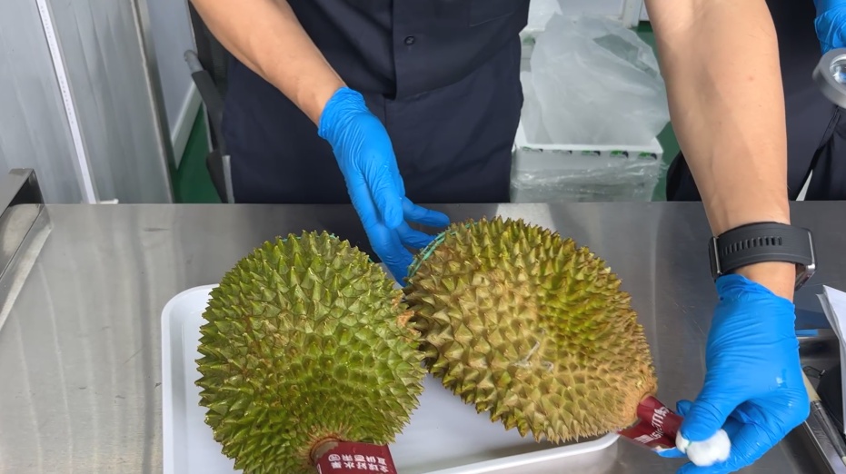 南京，再添一条新航线！