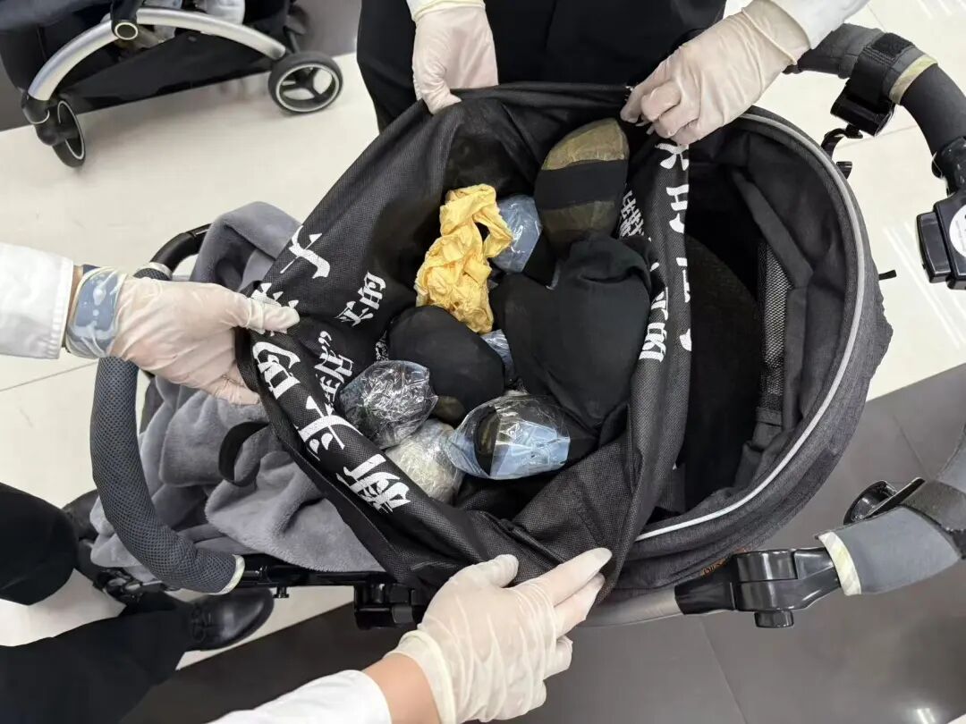 深圳湾海关半小时内拦截8名女性旅客 均穿着宽大裙子 藏匿53只活体龟入境