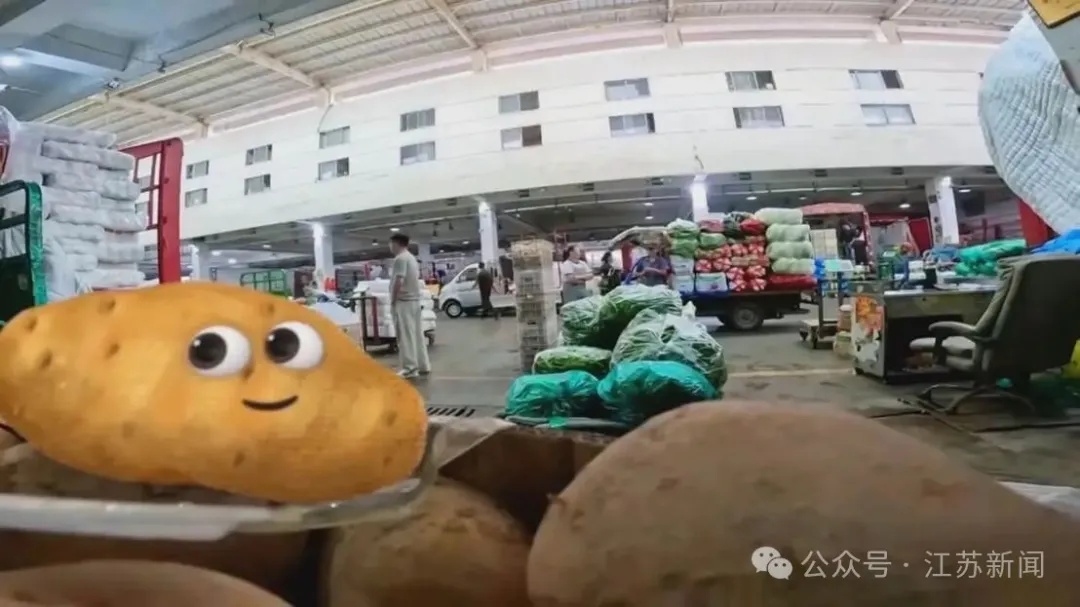 土豆白菜征战“苏超”？