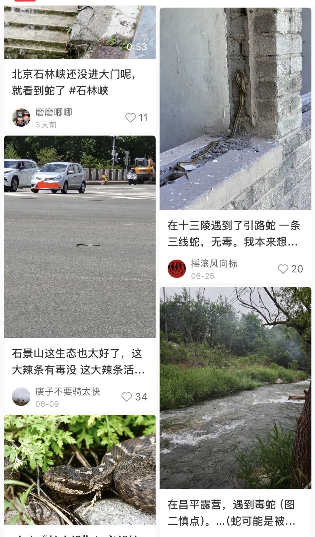 “我也拍到了！”北京市民朋友圈频现，真被咬了怎么办？