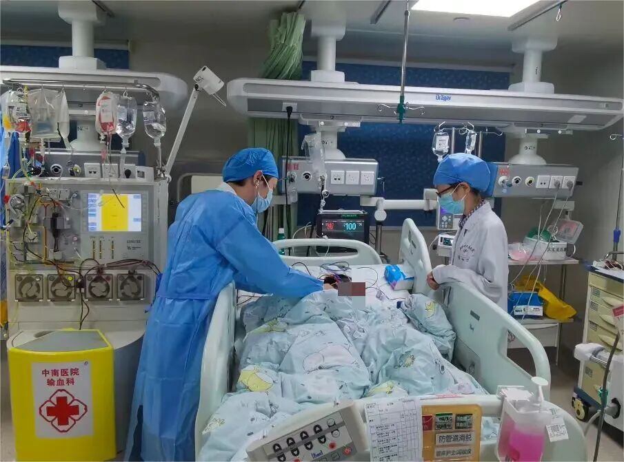 被AI识别为“无毒”后,一家三口放心吃下剧毒蘑菇!9岁男孩肝衰竭进ICU抢救8天… 被AI识别为“无毒”后,一家三口放心吃下剧毒蘑菇!9岁男孩肝衰竭进ICU抢救8天…