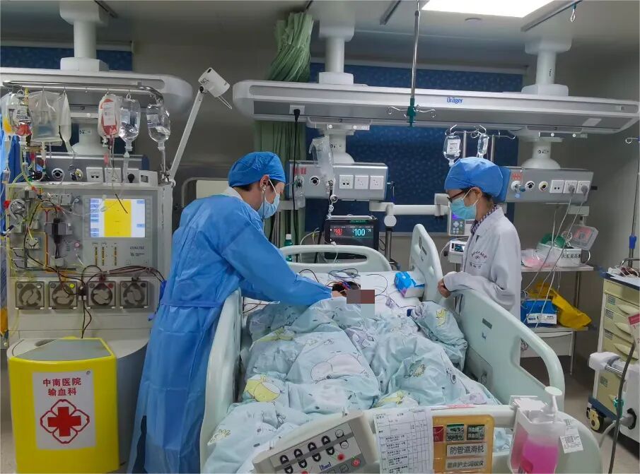 被AI识别为“无毒”后,一家三口吃下剧毒蘑菇,9岁男孩生死抢救8天 被AI识别为“无毒”后,一家三口吃下剧毒蘑菇,9岁男孩生死抢救8天