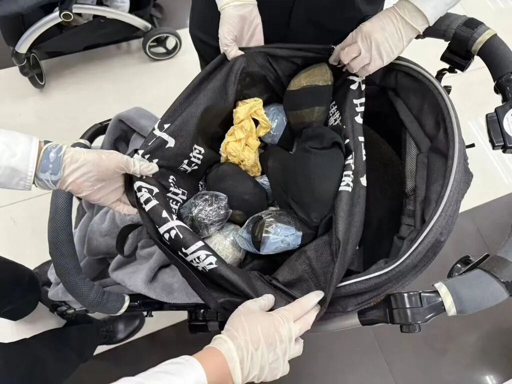 8名旅客穿宽大裙子,绑藏33只活体龟入境被查获 8名旅客穿宽大裙子,绑藏33只活体龟入境被查获