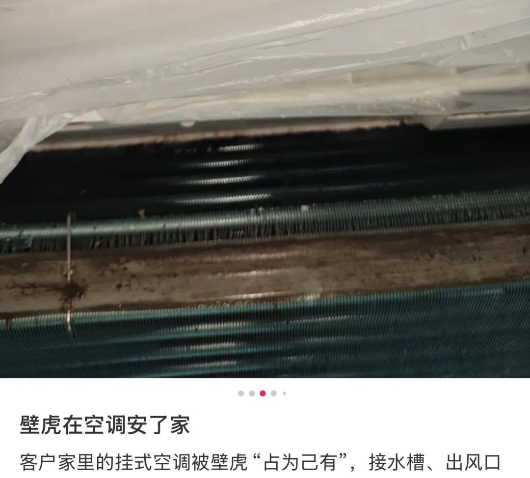 "吓得浑身发麻"!浙江男子拆开空调盖板,十几只蝙蝠… "吓得浑身发麻"!浙江男子拆开空调盖板,十几只蝙蝠…