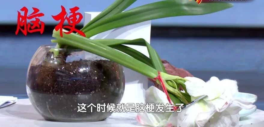 耳后藏着“回春穴”!每天按揉20下,远离脑梗、催动全身阳气 耳后藏着“回春穴”!每天按揉20下,远离脑梗、催动全身阳气