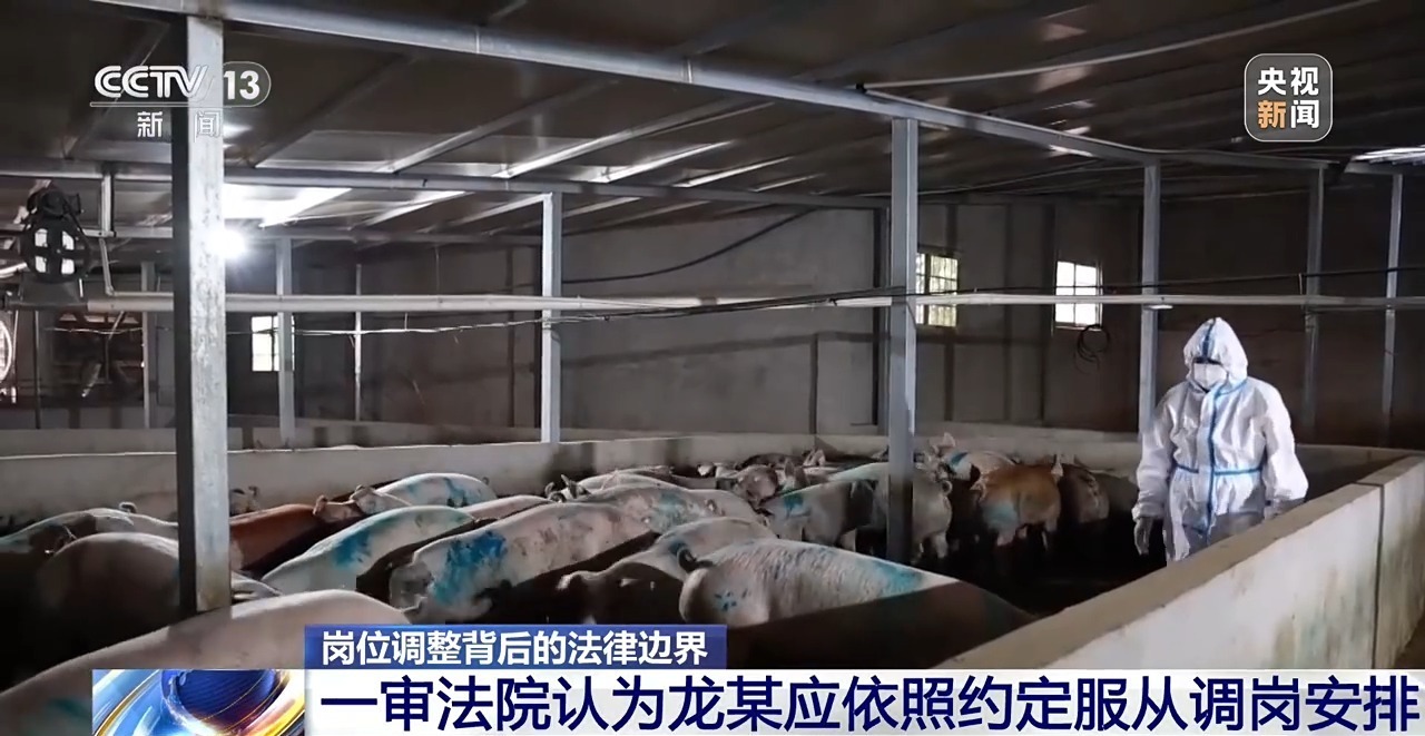 企业有“调岗自由”,员工有“拒绝权利”吗?这场官司告诉你答案 企业有“调岗自由”,员工有“拒绝权利”吗?这场官司告诉你答案